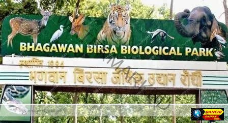 रांची बिरसा जैविक उद्यान