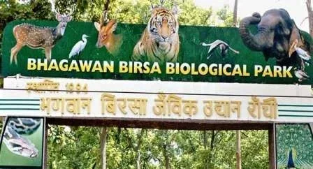 रांची के दस खूबसूरत स्थान, जिसे देखे बिना आप नहीं रह सकते 9 रांची बिरसा जैविक उद्यान