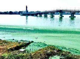 Ranchi's heart Bada Talab has become synonymous with dirt and stench, STP has become a white elephant