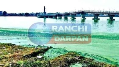 рдЧрдВрджрдЧреА рдФрд░ рджреБрд░реНрдЧрдВрдз рдХрд╛ рдкрд░реНрдпрд╛рдп рдмрдирд╛ рд░рд╛рдВрдЪреА рдХрд╛ рджрд┐рд▓ рдмрдбрд╝рд╛ рддрд╛рд▓рд╛рдм, рдПрд╕рдЯреАрдкреА рдмрдирд╛ рд╕рдлреЗрдж рд╣рд╛рдереА 1 Ranchi's heart Bada Talab has become synonymous with dirt and stench, STP has become a white elephant