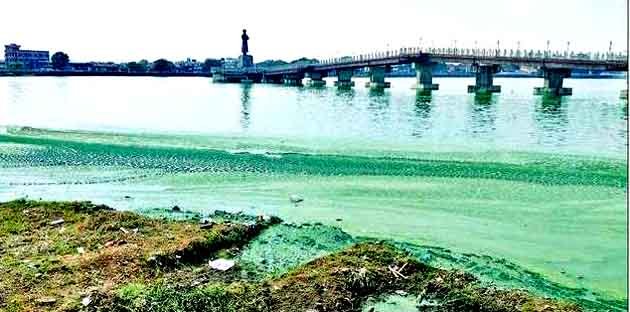 Ranchi's heart Bada Talab has become synonymous with dirt and stench, STP has become a white elephant