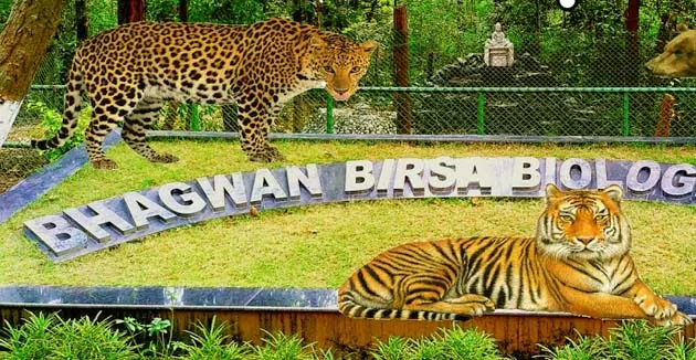 'Jaya' of Bhagwan Birsa Biological Park Ormanjhi passed away, kidney failed