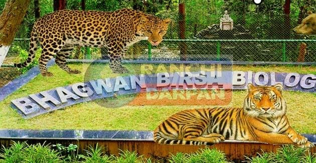 भगवान बिरसा जैविक उद्यान ओरमांझी की ‘जया’ का निधन, किडनी हुई फेल