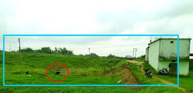 राँची DC और कांके CO से ग्रामीणों की गुहार, इस तबाही से बचाईए सरकार 1 Villagers appeal to Ranchi DC and Kanke CO, Government please save us from this disaster