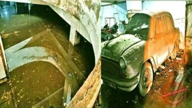 Ranchis pride or shame The Collectorate has become a den of filth and danger