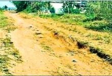Road scam in Mander fake withdrawal made without soil gravel work