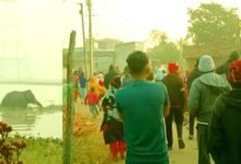 Elephant terror in Chakla area of ​​Ormanjhi two people injured creating an atmosphere of fear among the residents