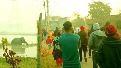 Elephant terror in Chakla area of ​​Ormanjhi two people injured creating an atmosphere of fear among the residents