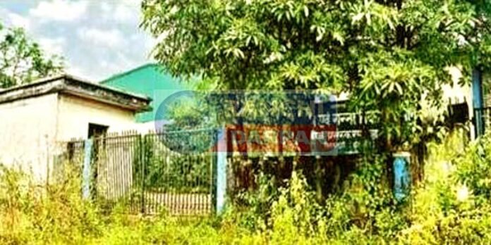 उद्घाटन के 12 साल बाद भी चालू नहीं हो सका झारखंड का एकलौता बीज प्रसंस्करण इकाई उद्घाटन के 12 साल बाद भी चालू नहीं हो सका झारखंड का एकलौता बीज प्रसंस्करण इकाई