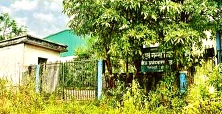 उद्घाटन के 12 साल बाद भी चालू नहीं हो सका झारखंड का एकलौता बीज प्रसंस्करण इकाई 1 Itki seed processing unit could not be started even after 12 years of inauguration