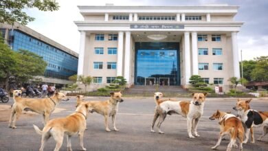 ranchi nagar nigam dog shelter home 2000 capacity