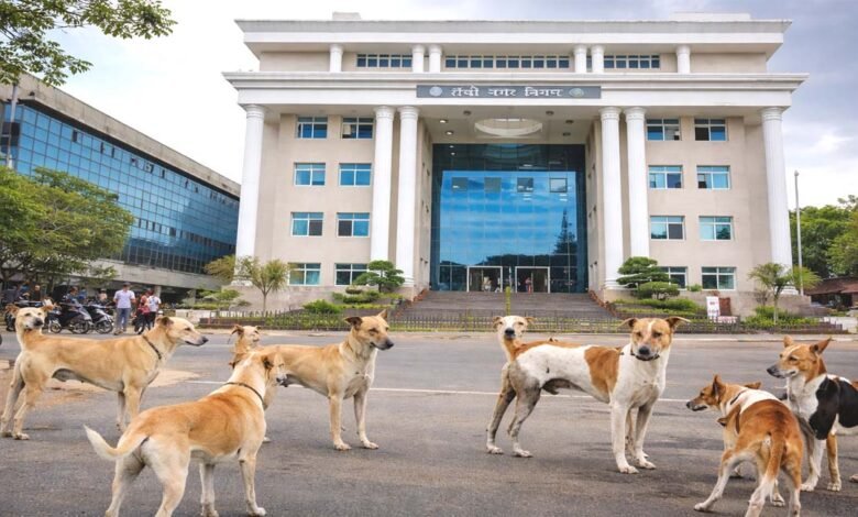 ranchi nagar nigam dog shelter home 2000 capacity