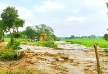खेरबैड़ा डैम ध्वस्त, कई गांवों में फैला पानी; धान की फसल को भारी नुकसान 2 Kherbaida Dam collapse