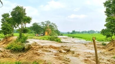 खेरबैड़ा डैम ध्वस्त, कई गांवों में फैला पानी; धान की फसल को भारी नुकसान 1 Kherbaida Dam collapse